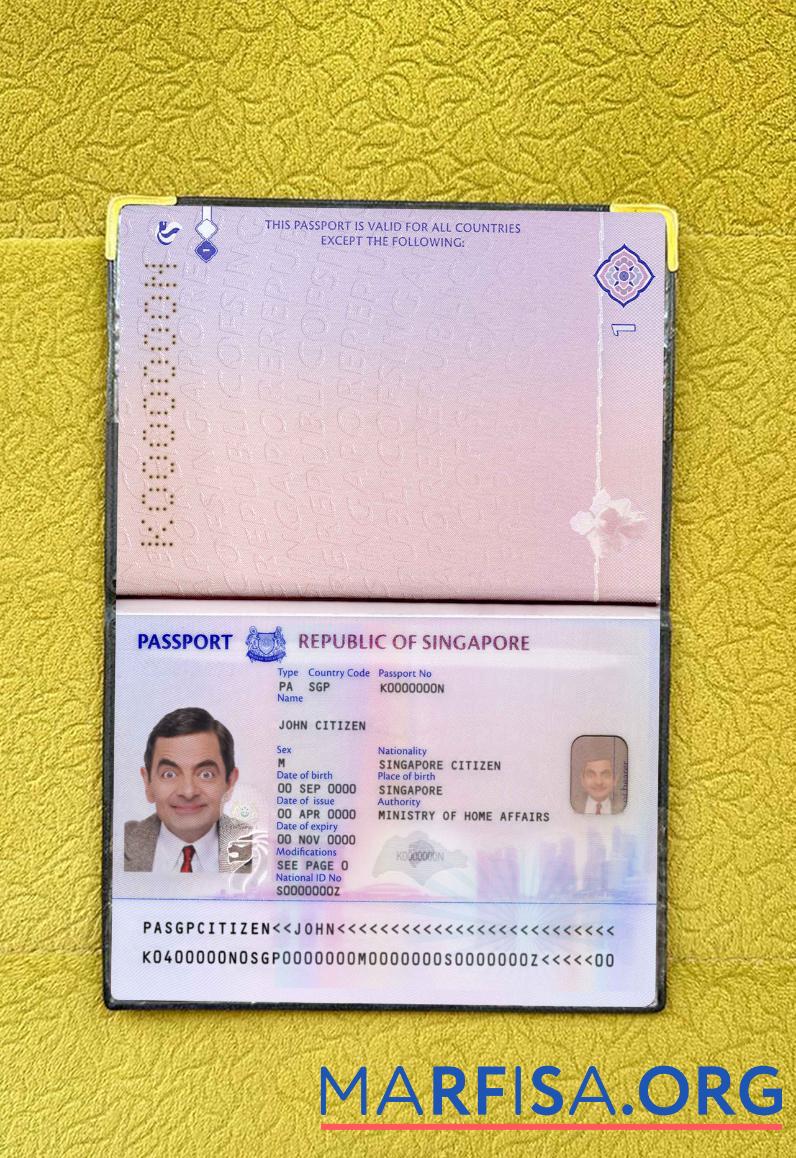 Downloadable Singapore new passport (2017+) photo look real example